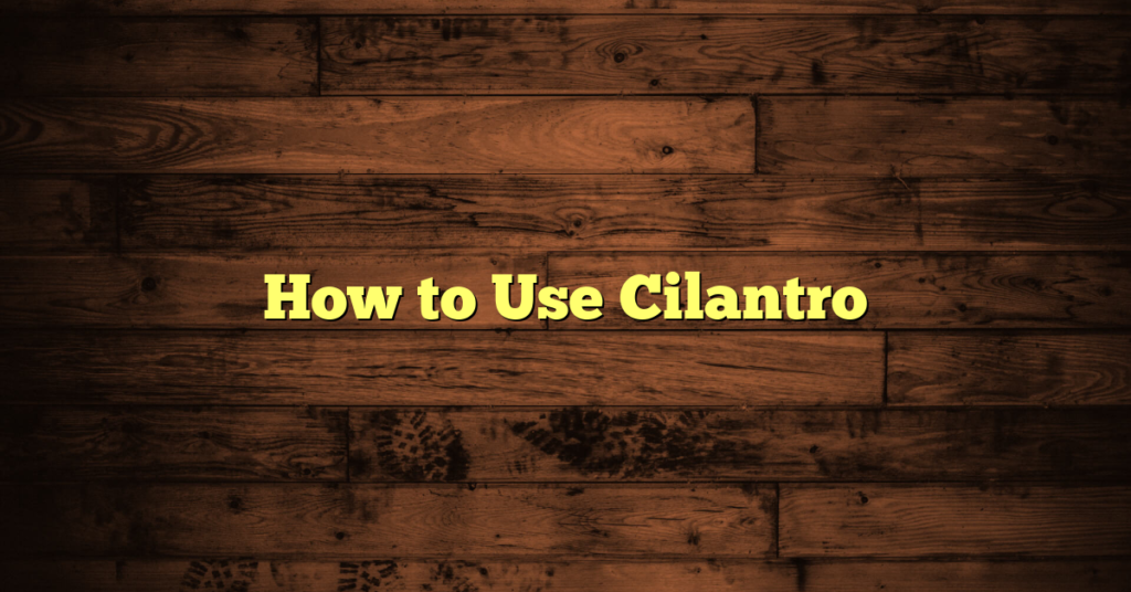 How to Use Cilantro