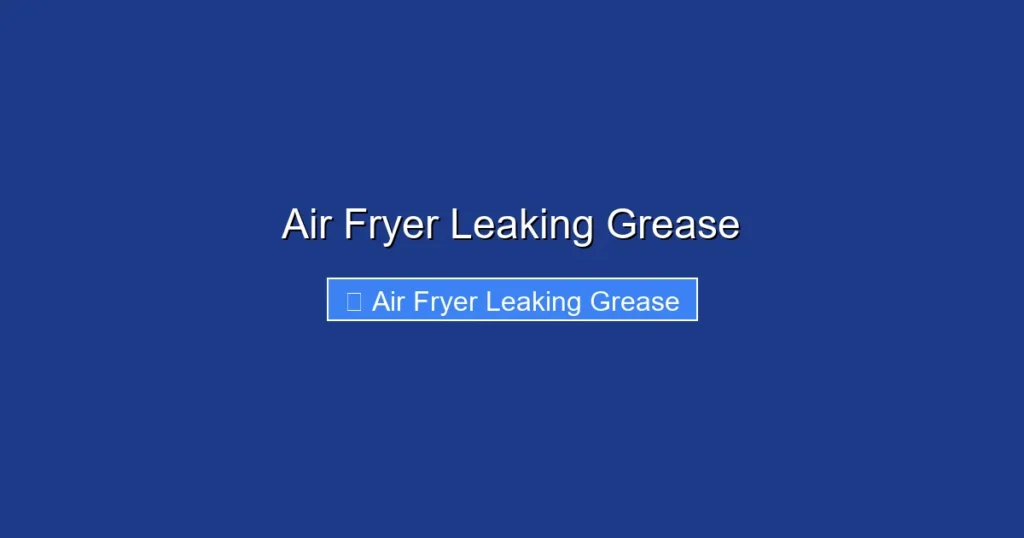 Air Fryer Leaking Grease