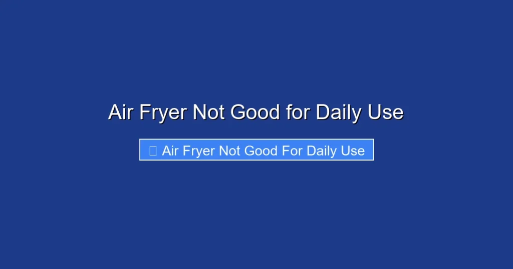 Air Fryer Not Good for Daily Use Air Fryer Not Good for Daily Use