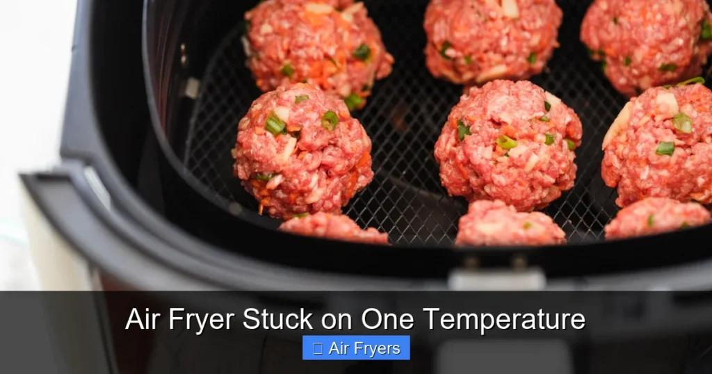 Air Fryer Stuck on One Temperature Air Fryer Stuck on One Temperature
