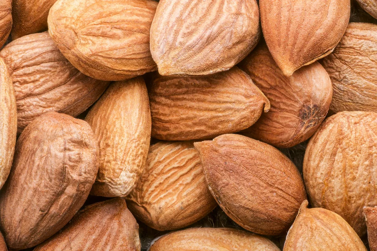Are Almonds High In Carbs Net Carbs And Low Carb Use