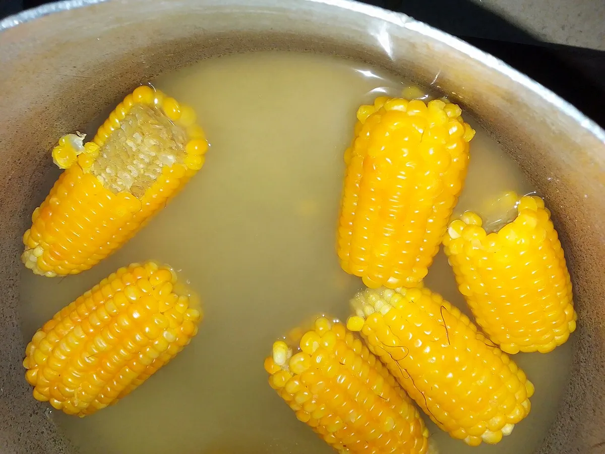 Boiling corn on the cob