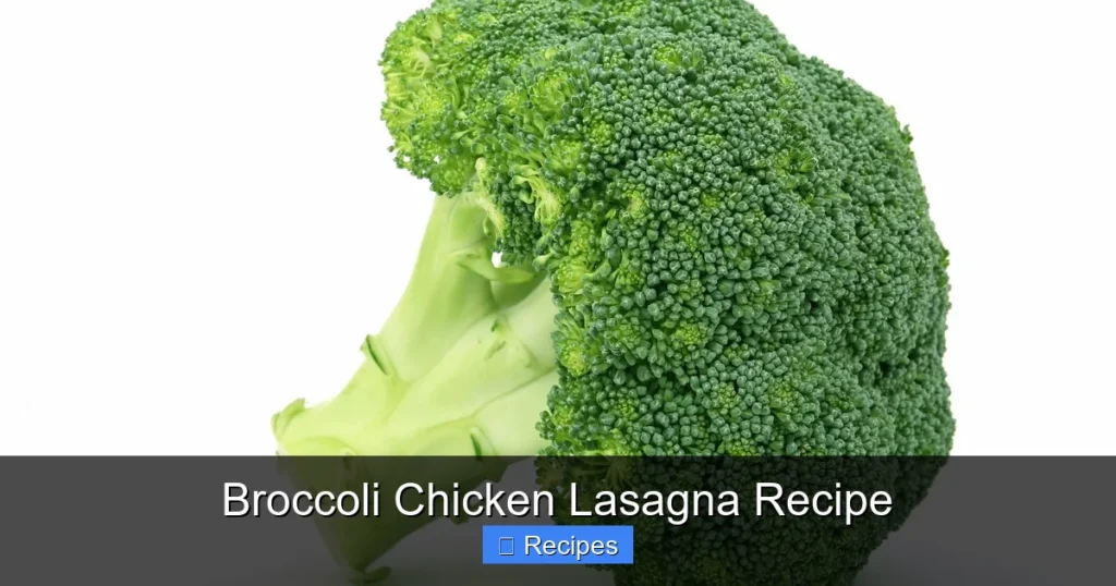Broccoli Chicken Lasagna Recipe Broccoli Chicken Lasagna Recipe