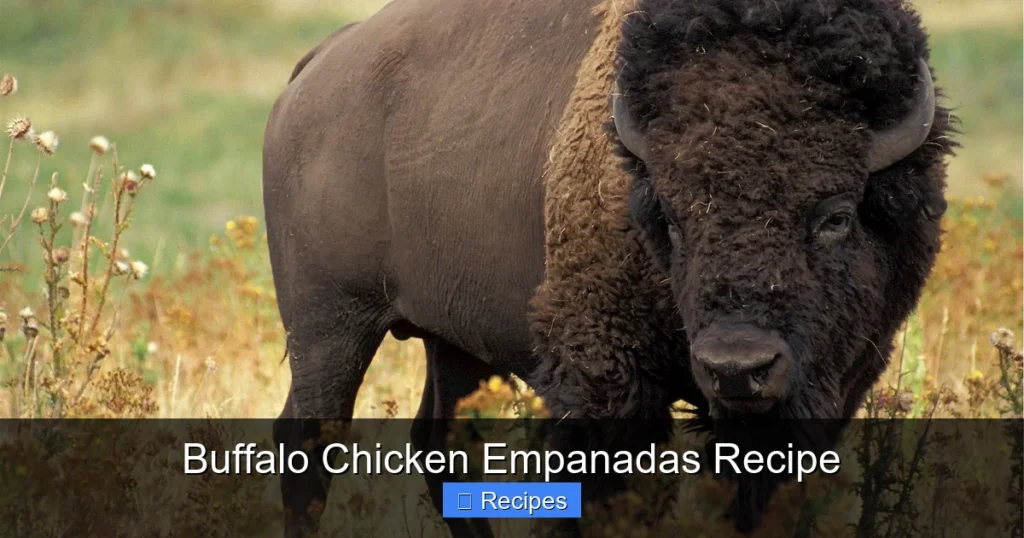Buffalo Chicken Empanadas Recipe