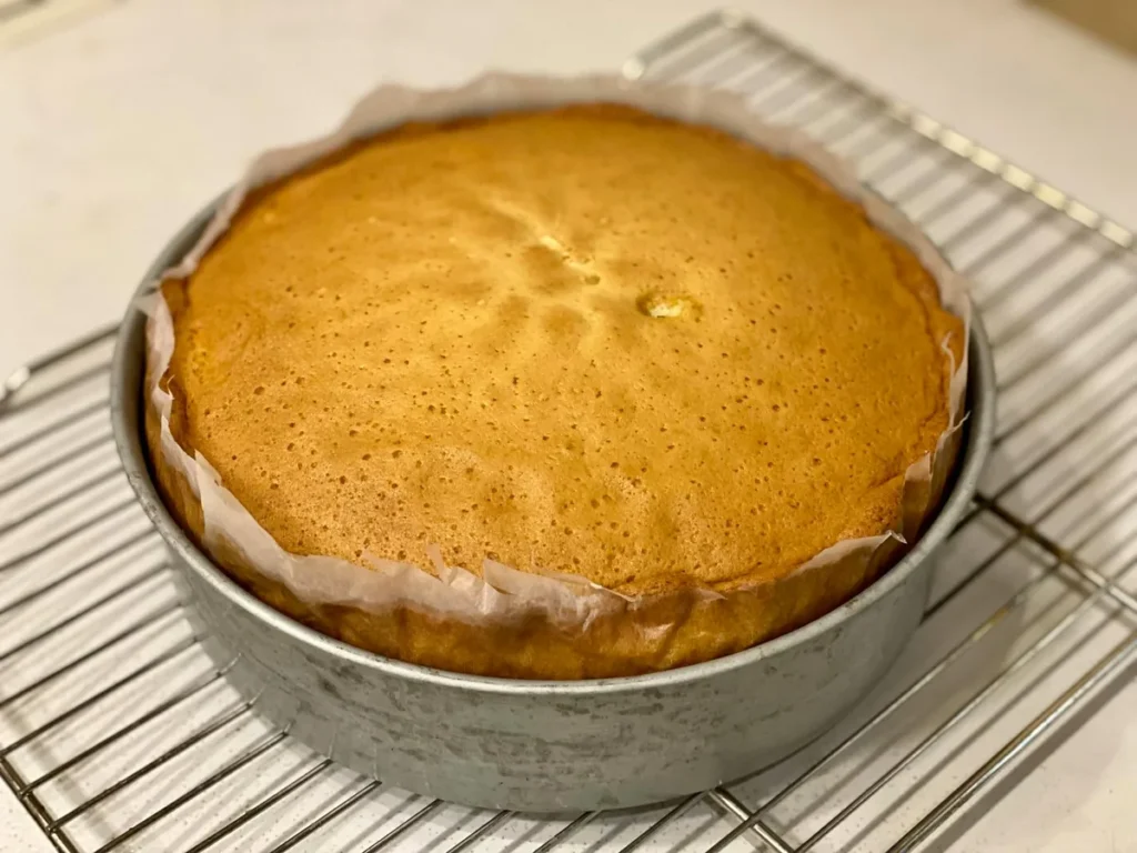Can I Substitute Bread Flour For All Purpose Flour In Cake