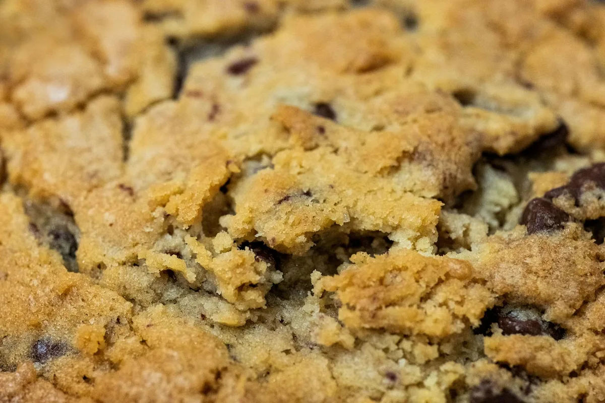 Chewy chocolate chip cookie texture