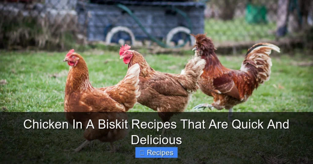Chicken In A Biskit Recipes That Are Quick And Delicious