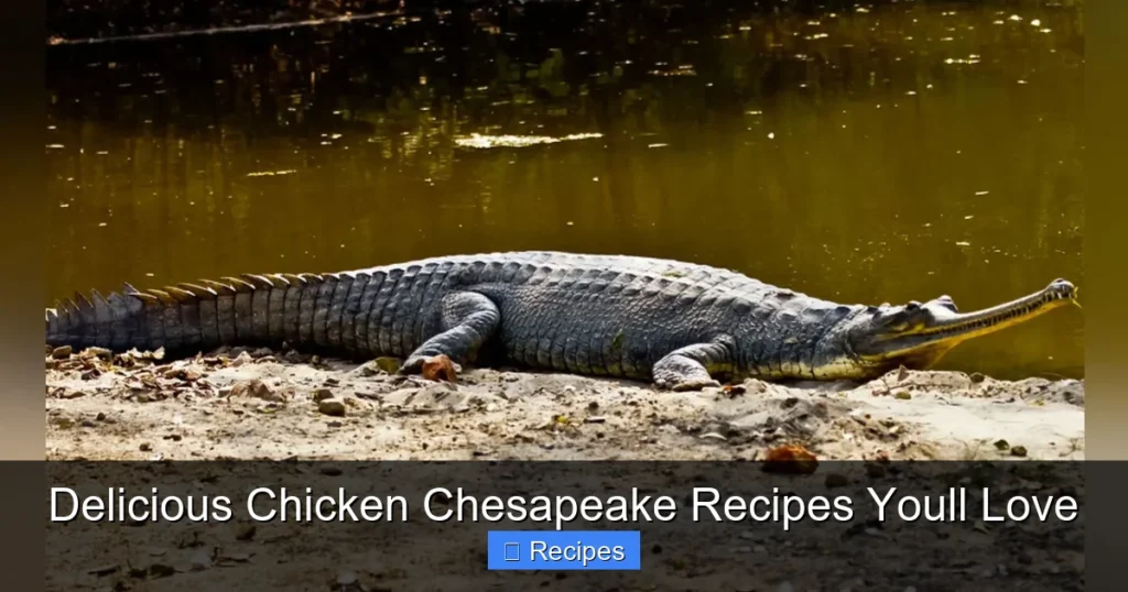 Delicious Chicken Chesapeake Recipes Youll Love