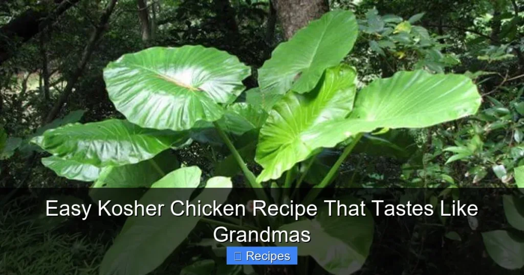 Easy Kosher Chicken Recipe That Tastes Like Grandmas