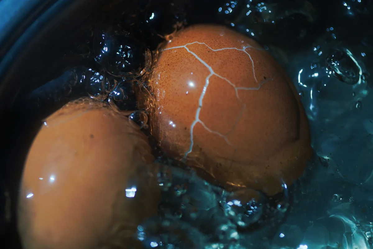 egg spin test