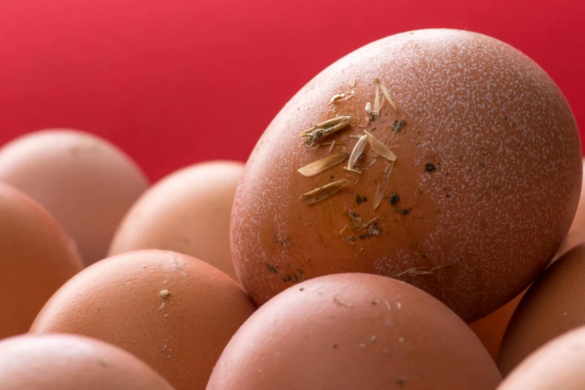 Egg white discoloration