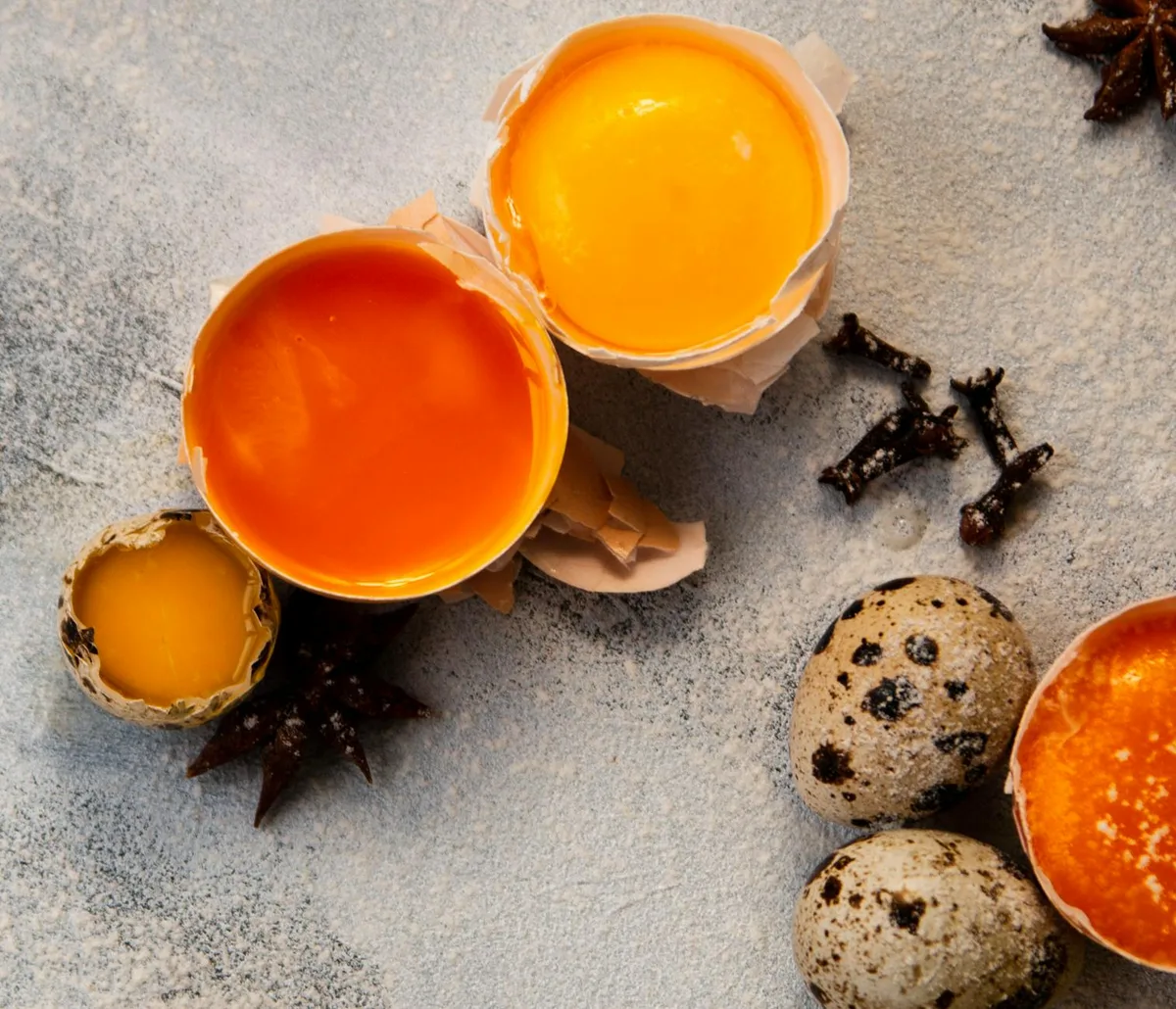 Fresh vs Spoiled Egg Yolk