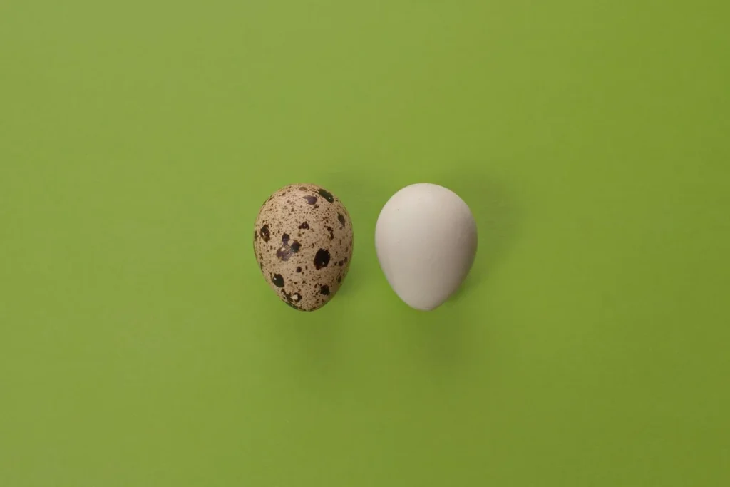 Hard-boiled egg vs raw egg spin