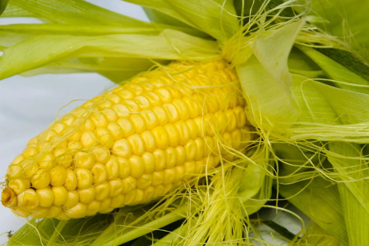 How Do You Cook Corn On The Cob In The Microwave