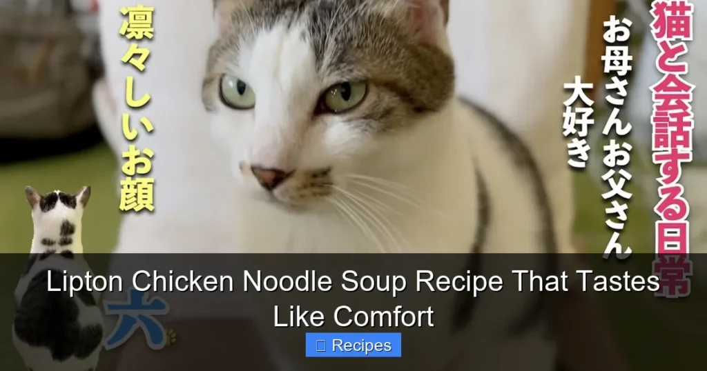 Lipton Chicken Noodle Soup Recipe That Tastes Like Comfort Lipton Chicken Noodle Soup Recipe That Tastes Like Comfort
