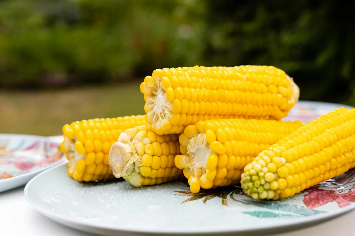 Microwaved corn on the cob