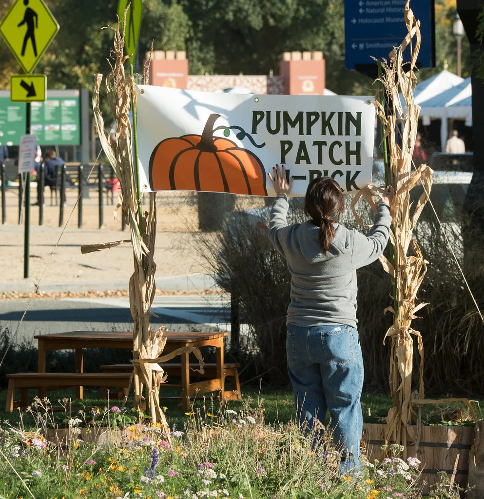 Pumpkin seed roasting process