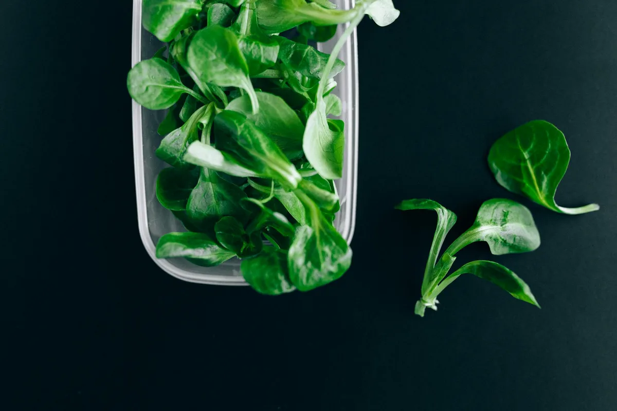 refrigerated lettuce storage