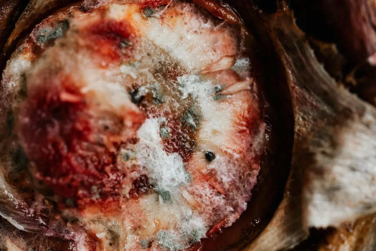 Sourdough starter mold