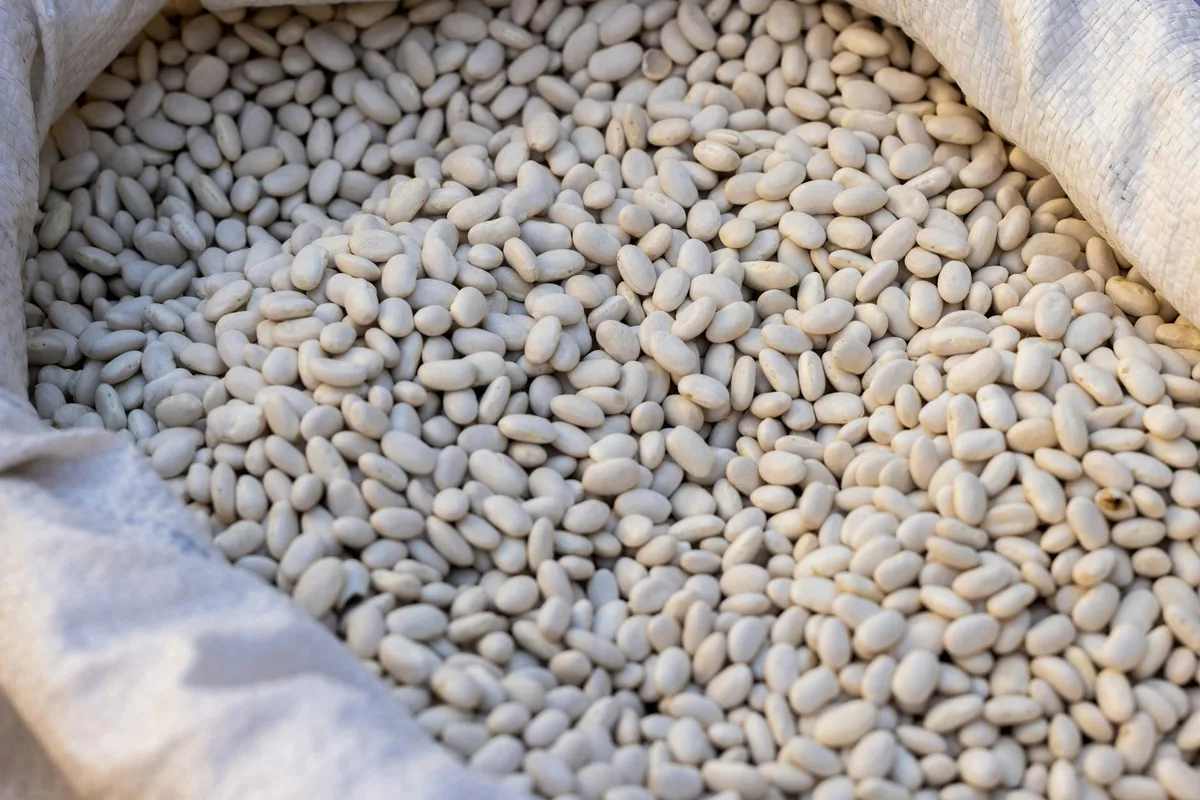 white beans
