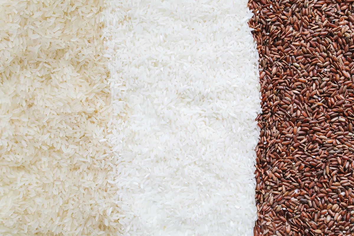 white rice vs brown rice texture