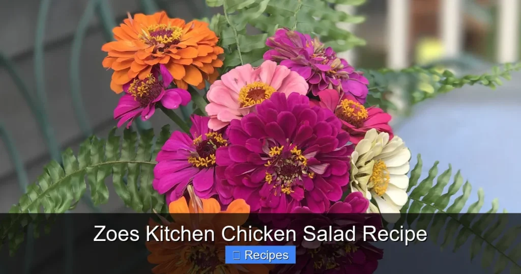 Zoes Kitchen Chicken Salad Recipe