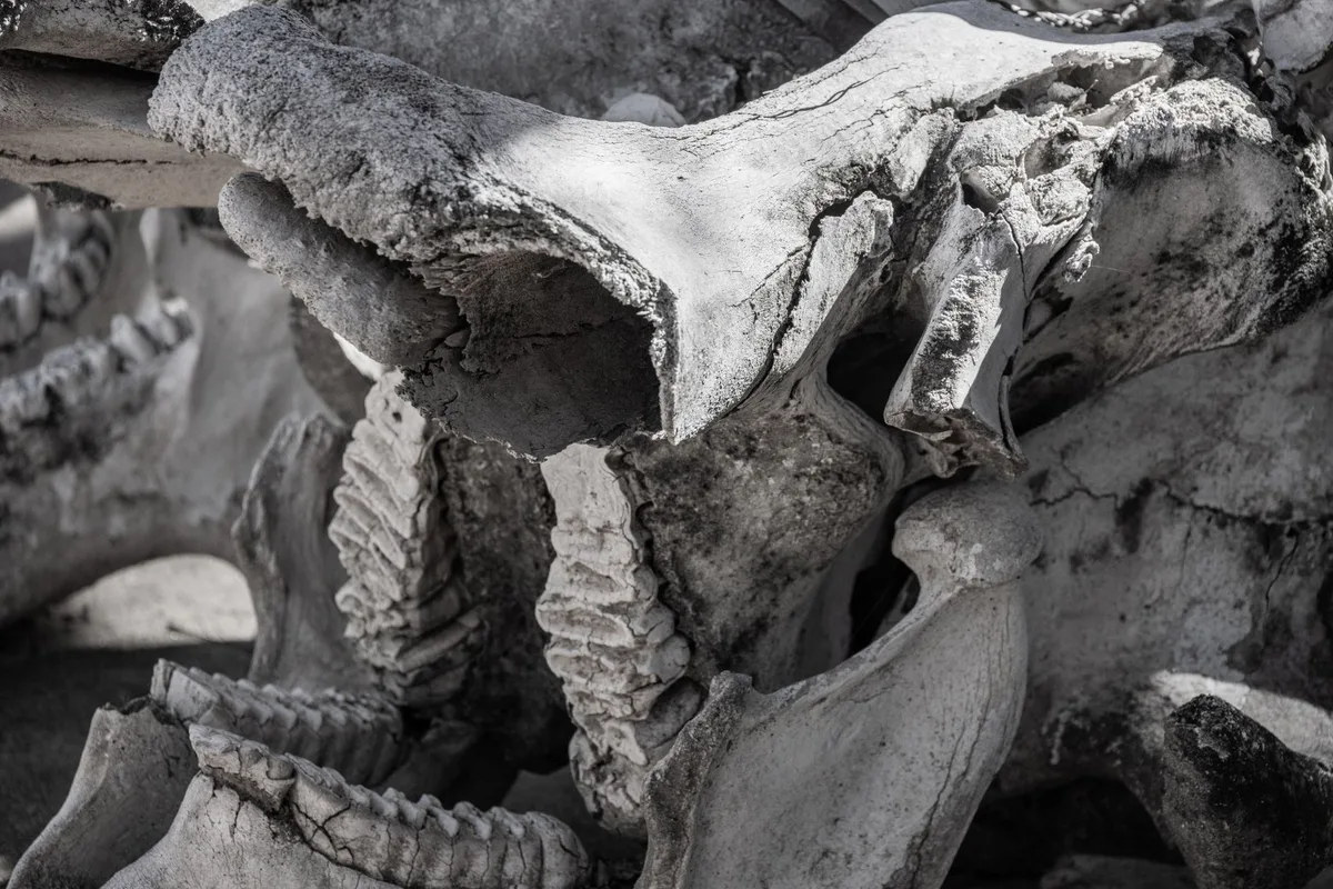 bone splintering injury