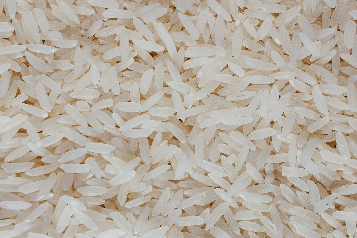 jasmine rice preparation