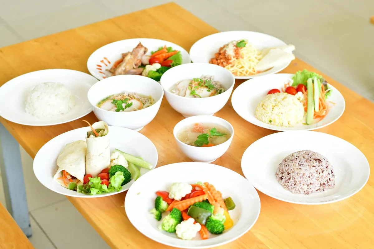 macronutrient plate balance